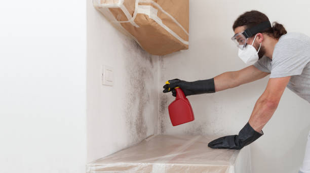 Professional Attic Mold Remediation technician working in West Little River, FL
